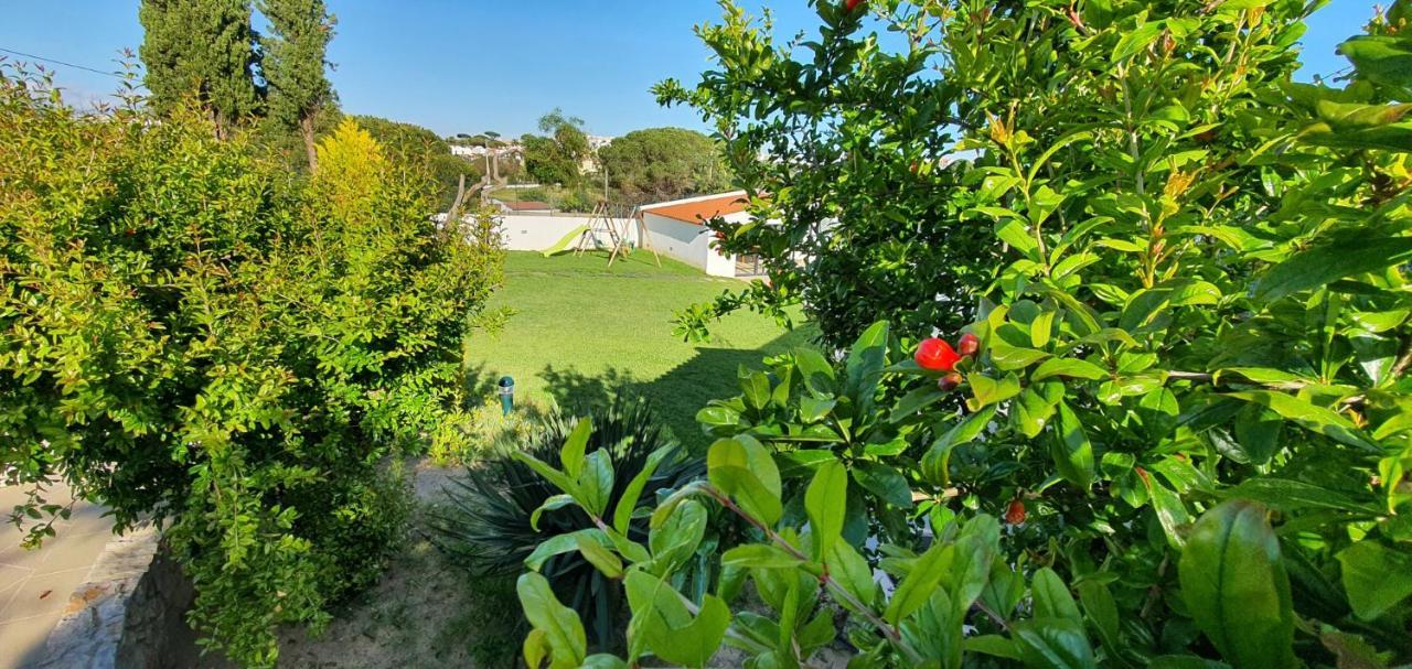 Villa Margarida by Laranjal Rentals Albufeira Exterior foto